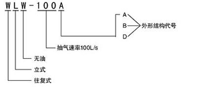WLW往復泵型號說明